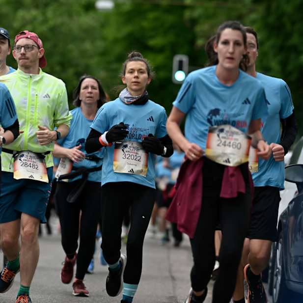 erz1dbzu8954uvfuy85nxee2