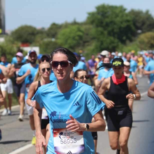 gp5s01sqt04f5pe7n04kbhvl