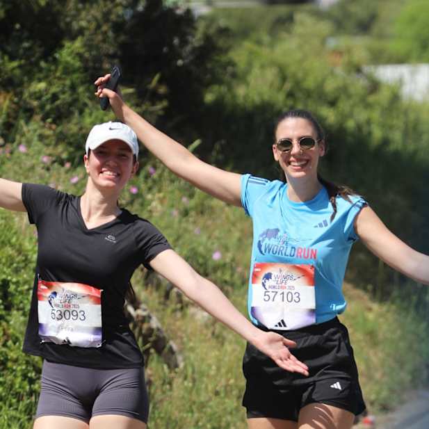 rmzofm6gvtjfdaxsf8zywmn6