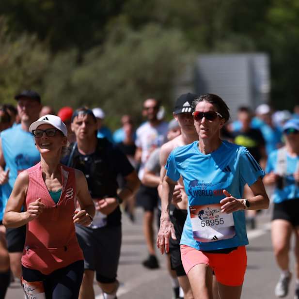 bpnlk62a9ml6ajiqbjlov368