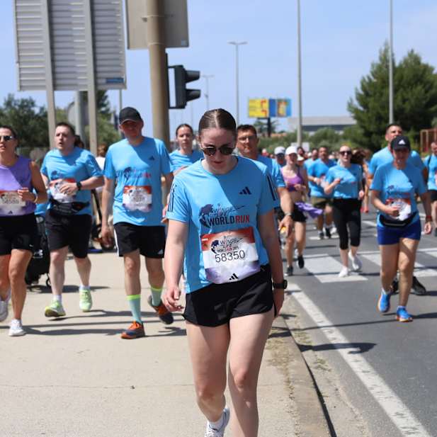 z2o6wqvawu4k0d8o4fdxz66z