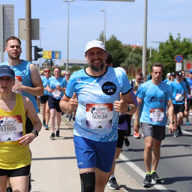 d897kf6bzpxjqooe3f0wja8o