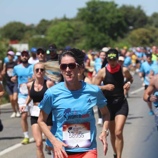 l021tkdegfts04qa0r0aqeac