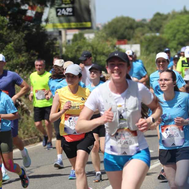 m9aa8c73ge19tgz13x5k6rif