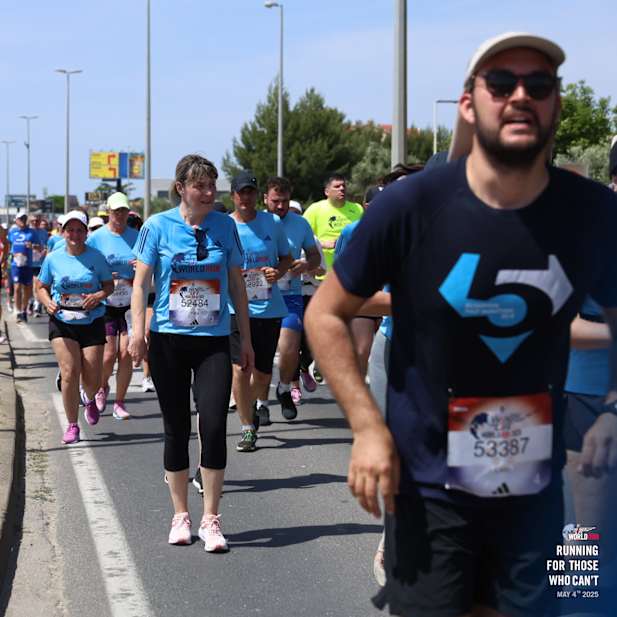 n0ffwccr356xwa7syz0ks0l0