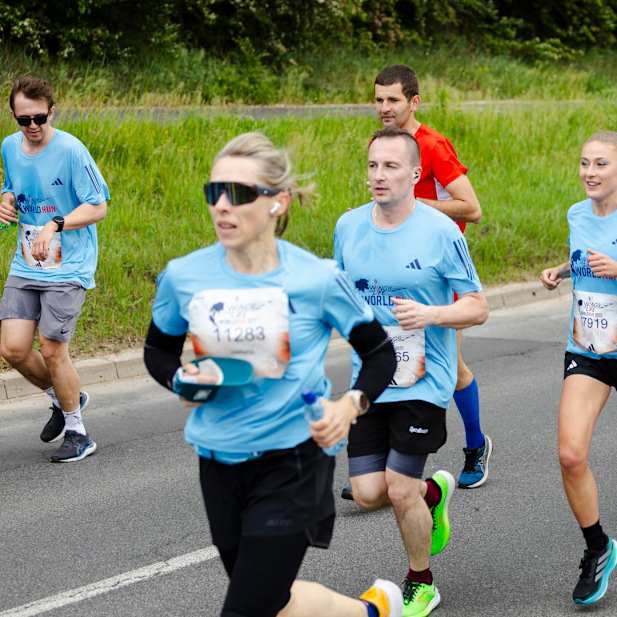 jdssurzc4vx4uo1m3iw9z9lf