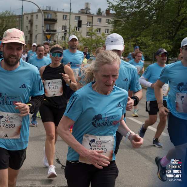 xrotluiyjtajq8ez4ng8d60f