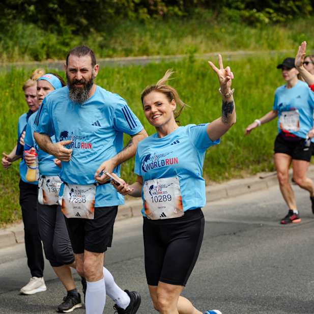 ktnf176nc6fd8ffiuk1neh1e