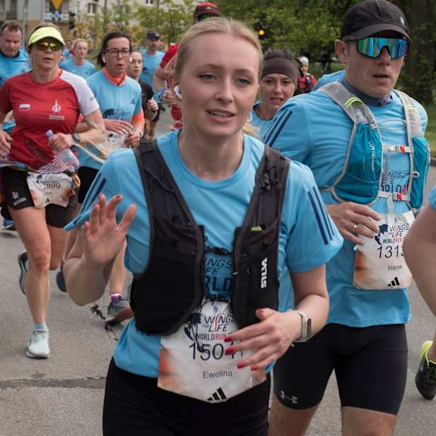 rkn8u8o1ggq49xz61n70kn5d