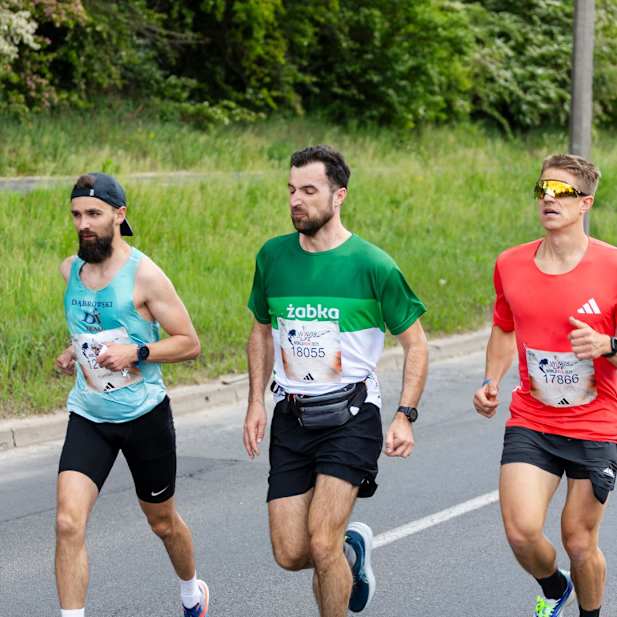 tzhpw3mfrd580ovdkm5g1in1