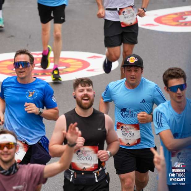 fnszh49fuvqx8otphrb29ssj