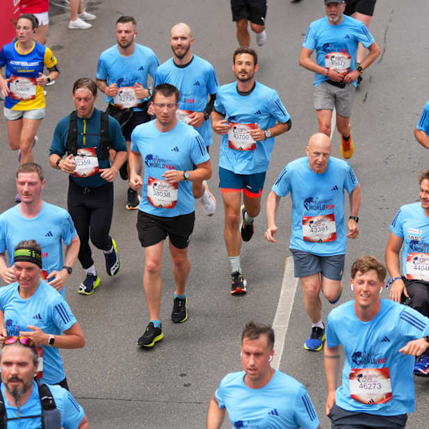 xi9vg287fmi735gltrr4gd61