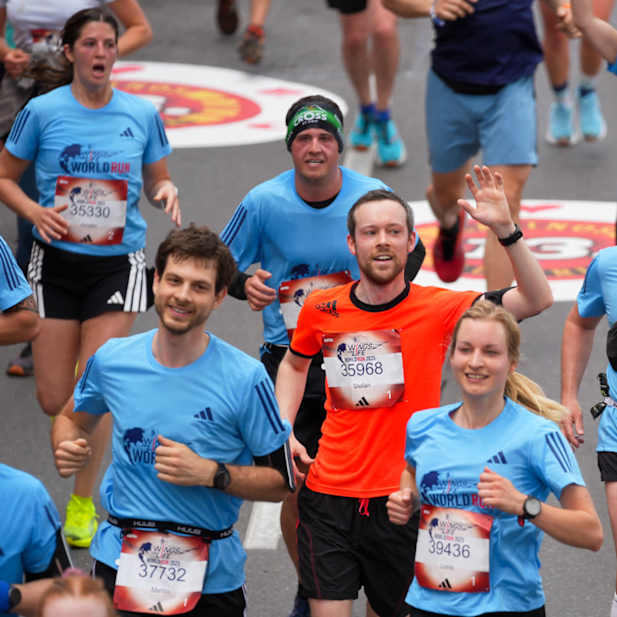 eonpjzccws7jmmq4qewa197o