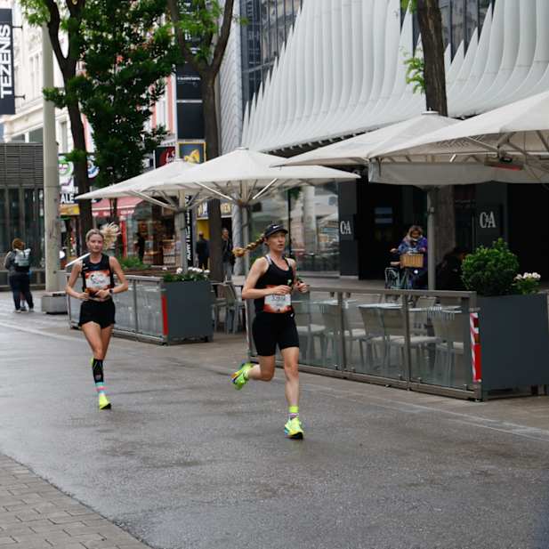 kd7xc80i2kc401lq6vx2ibfi