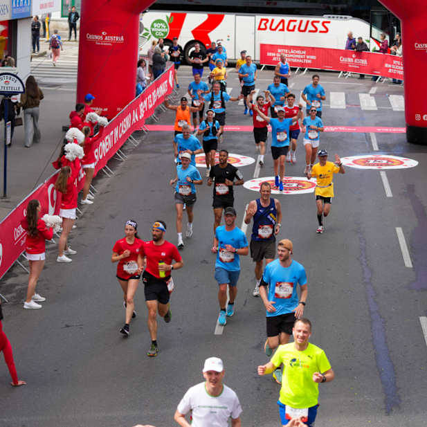 elu1a7ud725i8sqg30lipiqd