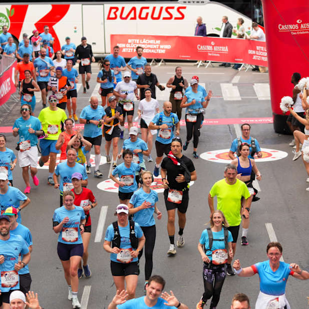 anqn576zwtkvi9vuphotdnvm