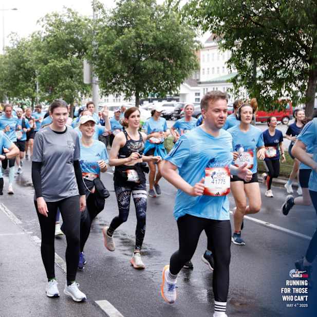 tt53oord26y45e0p31snbqof