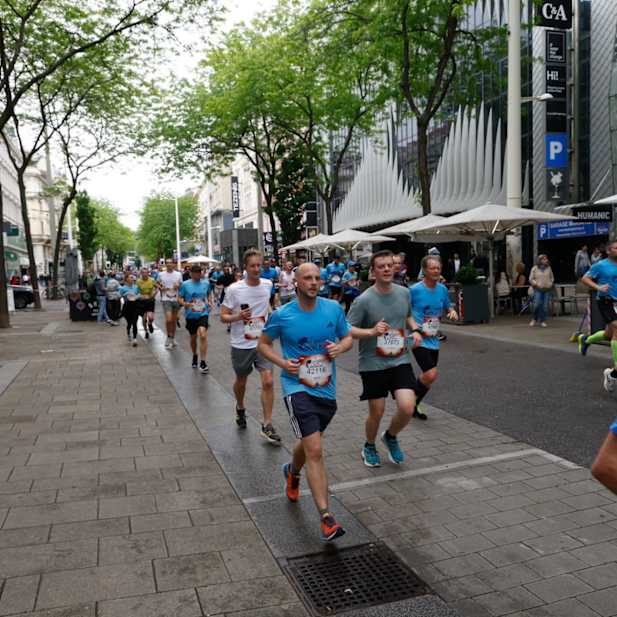 jj33k2k5v8510bmgt236lhzt