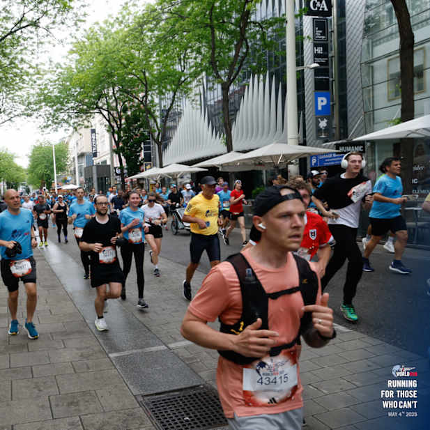 bj16ffdeq2iiyn1yh8bzxlcc