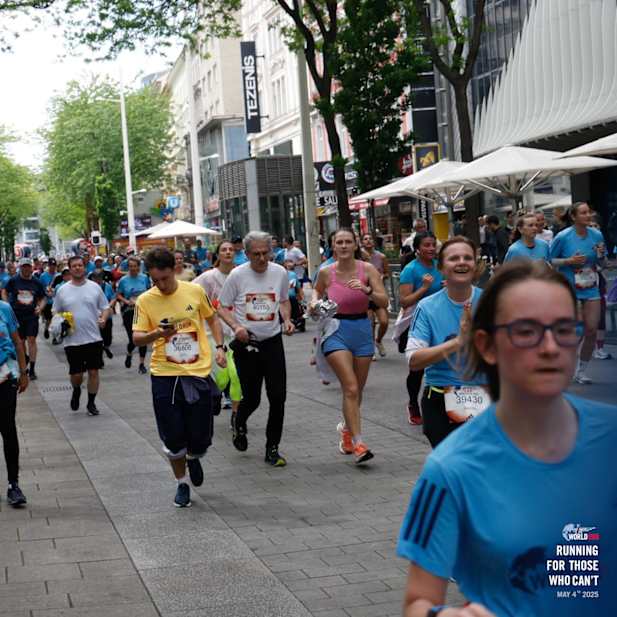 deyf9etmltld6n32zmkpzmv2