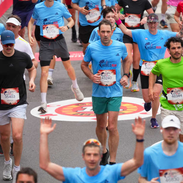 qzg2duty250joa27ywiwsgl0