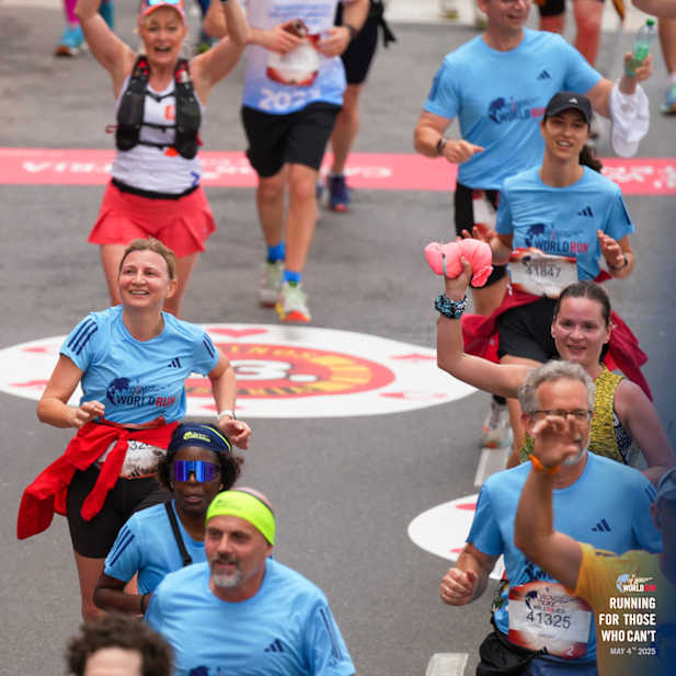 e90dxe96lofbui7s0ygwtct6