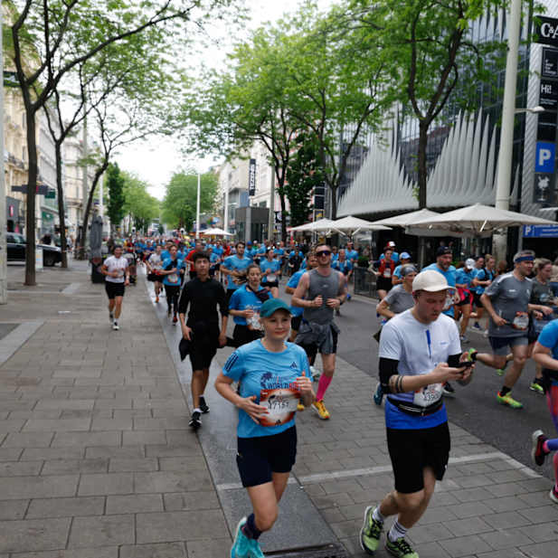 wlzalw1sx48tukcir57kc8xi