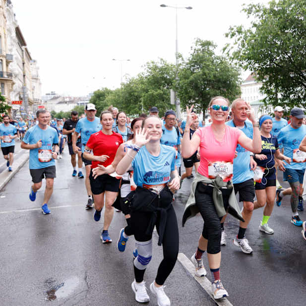 jj78catyljsaq6e8cmf5gn3d