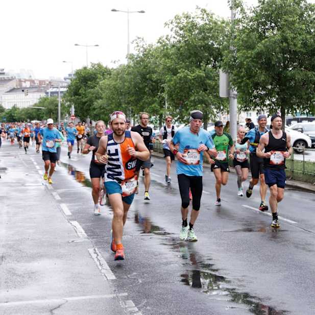 gzk8jmouifwnmnxe324mtg6z