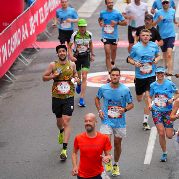 nd8xgm681nfew6m49bg67lef