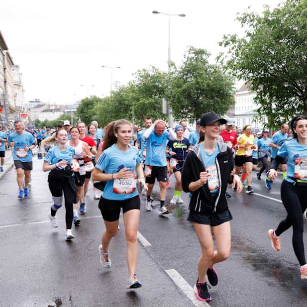 xioac9fxqxjfksbhkdwcpj6e