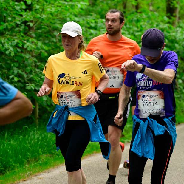 zr9ely423wi6q9k9mwxi9elr