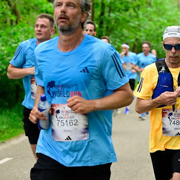 ilq8gag03mn7mal4gfvq2f3o