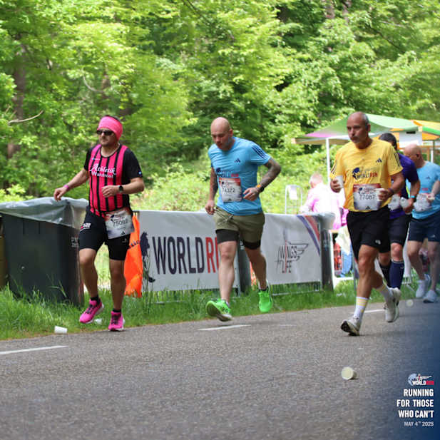 hsy5nldtndxb6xdi73nlaeg3