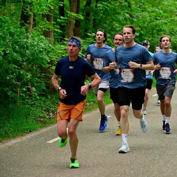 bl5ocdkv2dn3vxo6vj3650tj