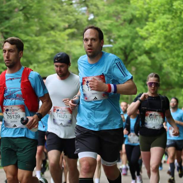 rlry9hnw552ixi01immw1mwn