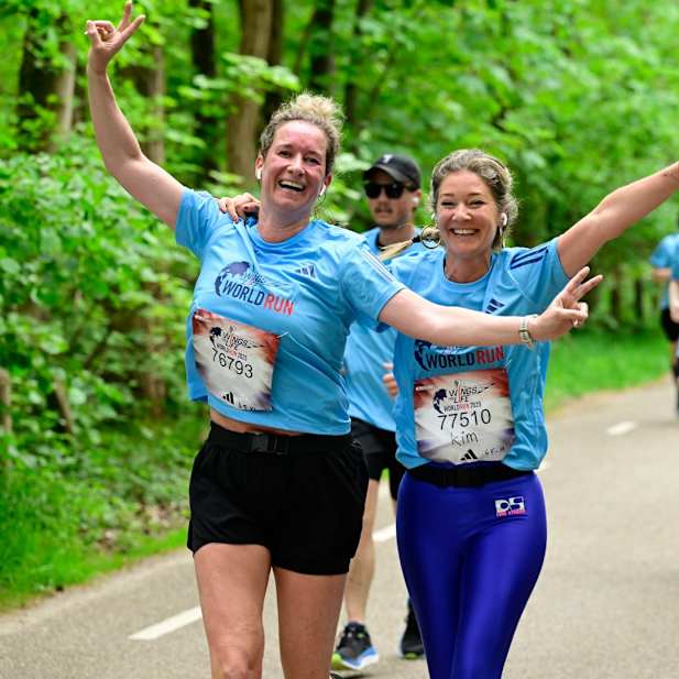 jm8c6x1vcp0gaa772lottjad