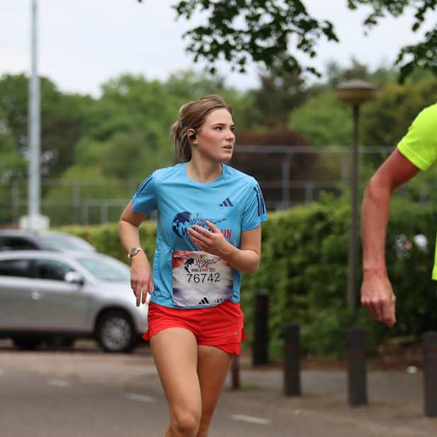 vim3pnh6h0oi4588lp2v1wtv