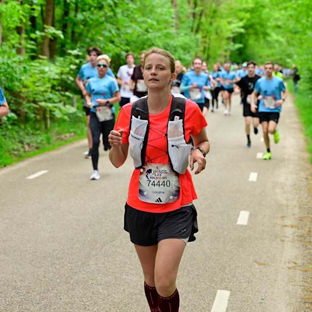 gsb44t58ok1xx8mm53t74inc