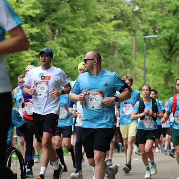 rjuoqjr8pnx9v1k19culz9w1