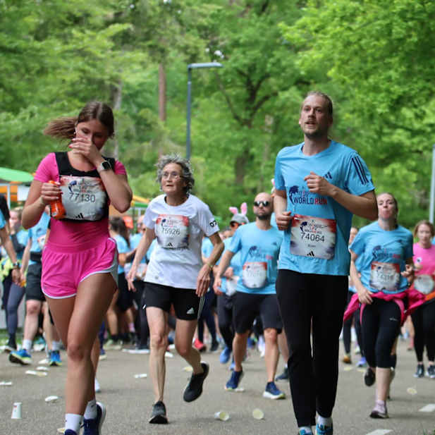 djd48uiyngy1ox5cohv97xl0