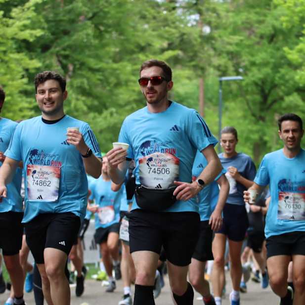 rny6lpz2x06nxz17rjopqigh