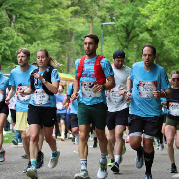 sfk6v288l3dnk4kixroll0ha