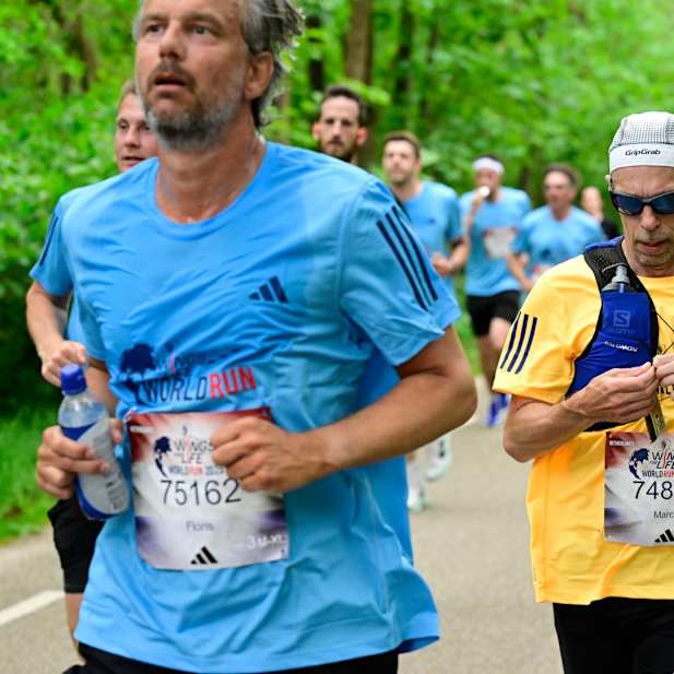 rvn6ego1k23onfm87w8jsjvi