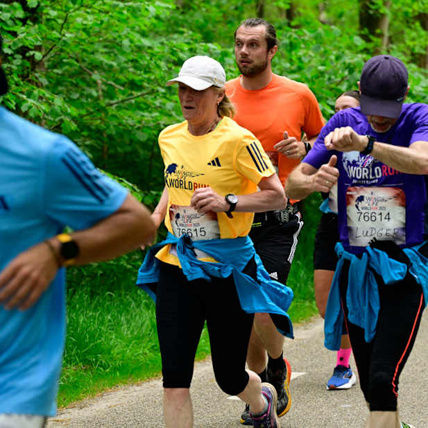 fiy3menzo63wf9zr5zqk9s24