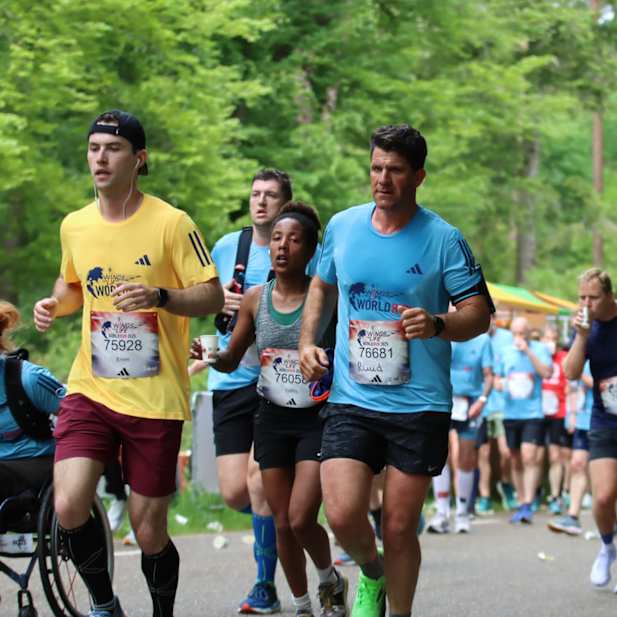 k6hl19abinmb6xfoibkge43v