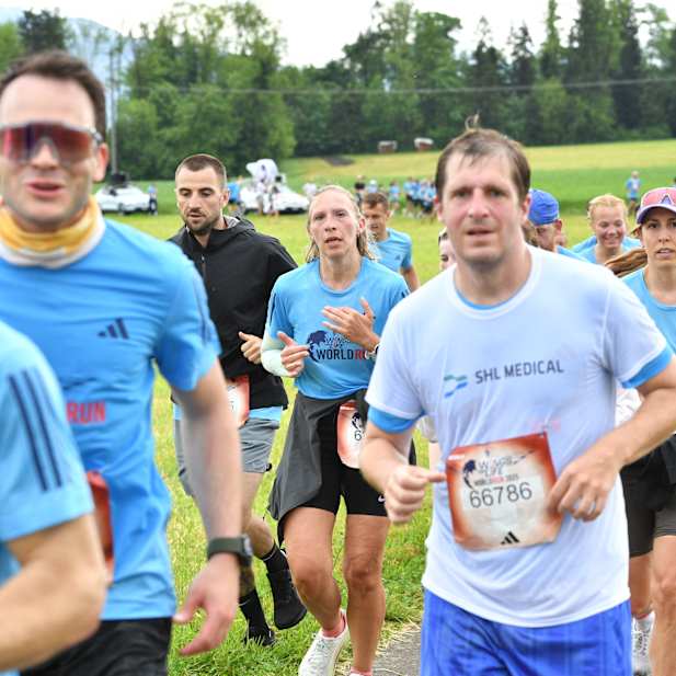 to0amljvr8xc6bqfe1vljayd