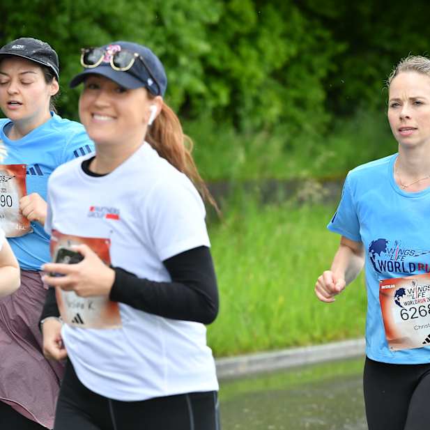 ty25hjh39a9fy4p3hp9cvt0d