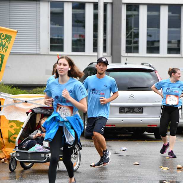 gozs7aw5ujg9ofdrmk8q6jg6