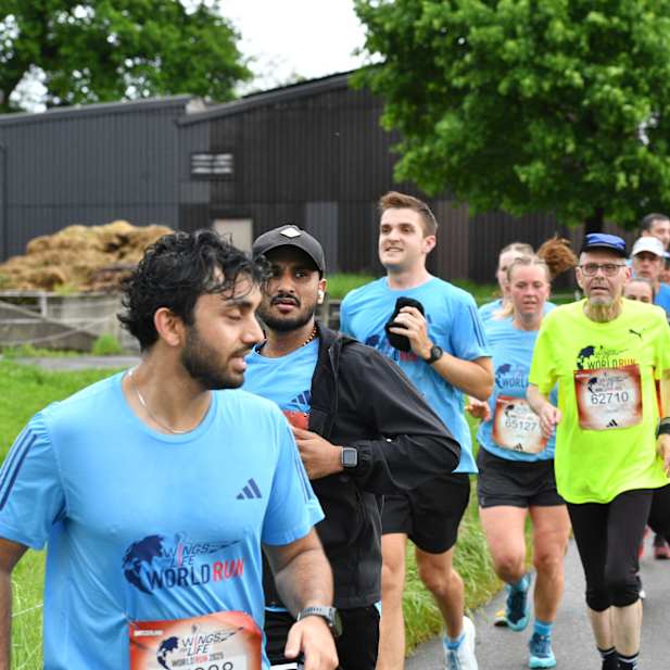 tb8vn5h8dsajrg9171wbijim